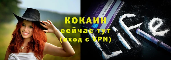 индика Алексин