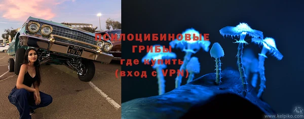 PSILOCYBIN Алзамай