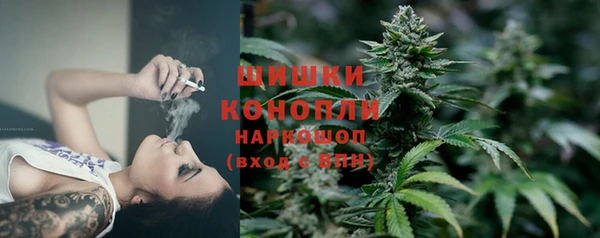 PSILOCYBIN Алзамай
