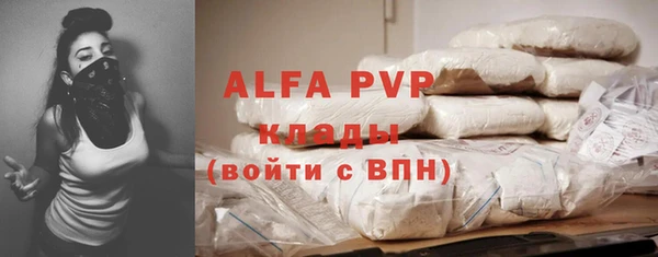 индика Алексин