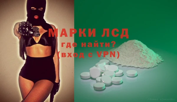 индика Алексин