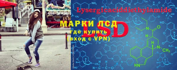 индика Алексин