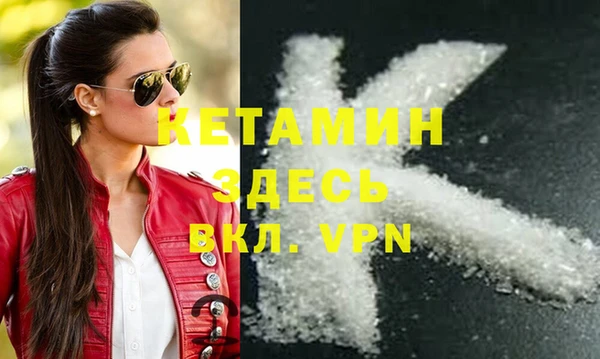 индика Алексин