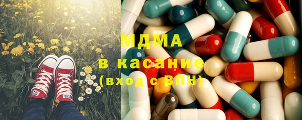 индика Алексин