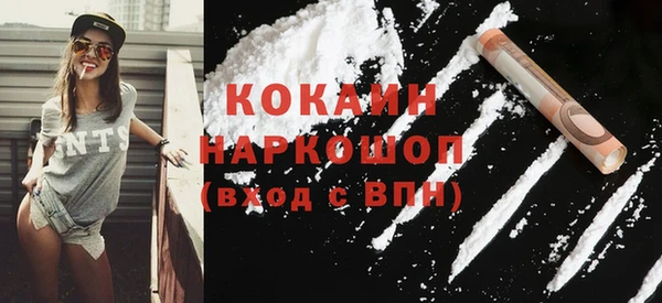 индика Алексин