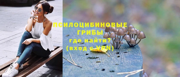индика Алексин